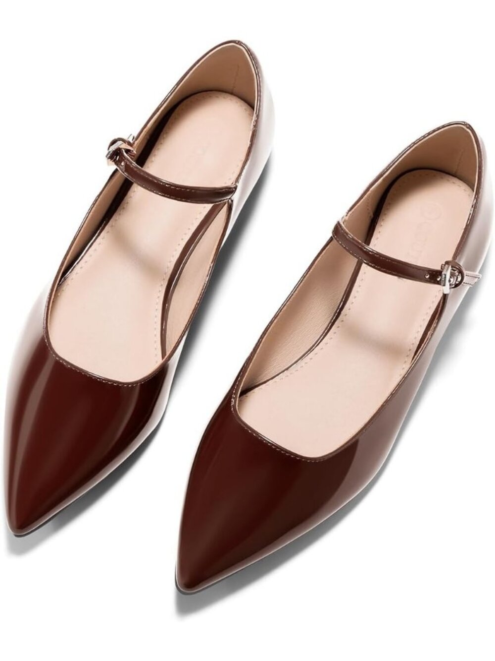 Women's Dark Brown Leather Mary Jane Closed Pointed Toe Ballet Flats Work Shoes